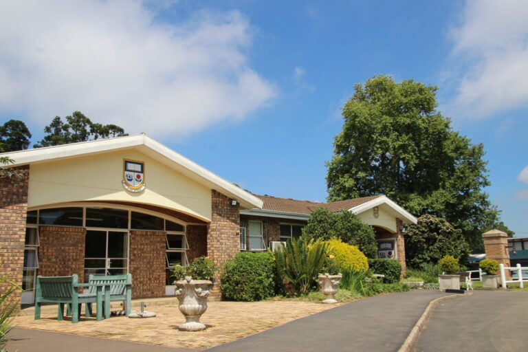 2 4 scaled 1 768x512