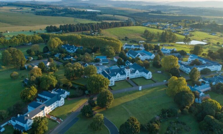 271727094 4797940950300806 7929432476347977430 n 780x470 1 768x463