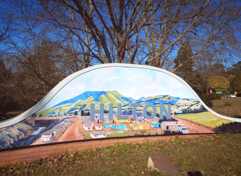 487797168 24070566619209800 3317167040001269105 n 768x561