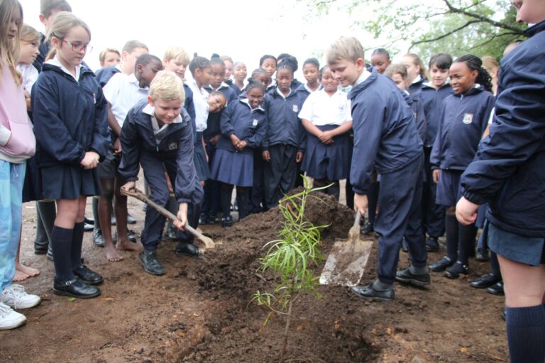 559583239 1391679379630274 9177727115337669372 n 768x512