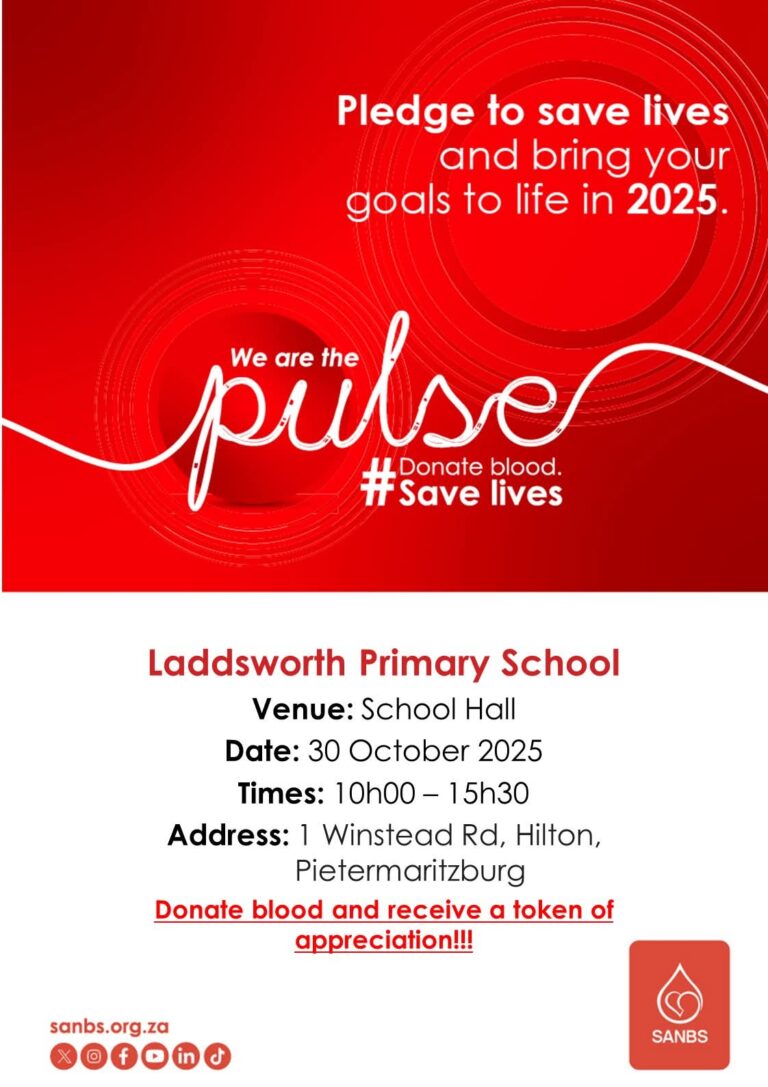 FB IMG 1761555944083 768x1087